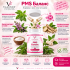 PMS Баланс – миниатюра 2