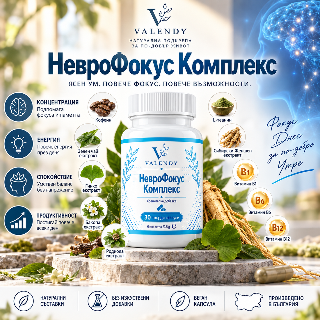 НевроФокус Комплекс — изображение 1