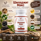 Шиладжит Макс – миниатюра 1