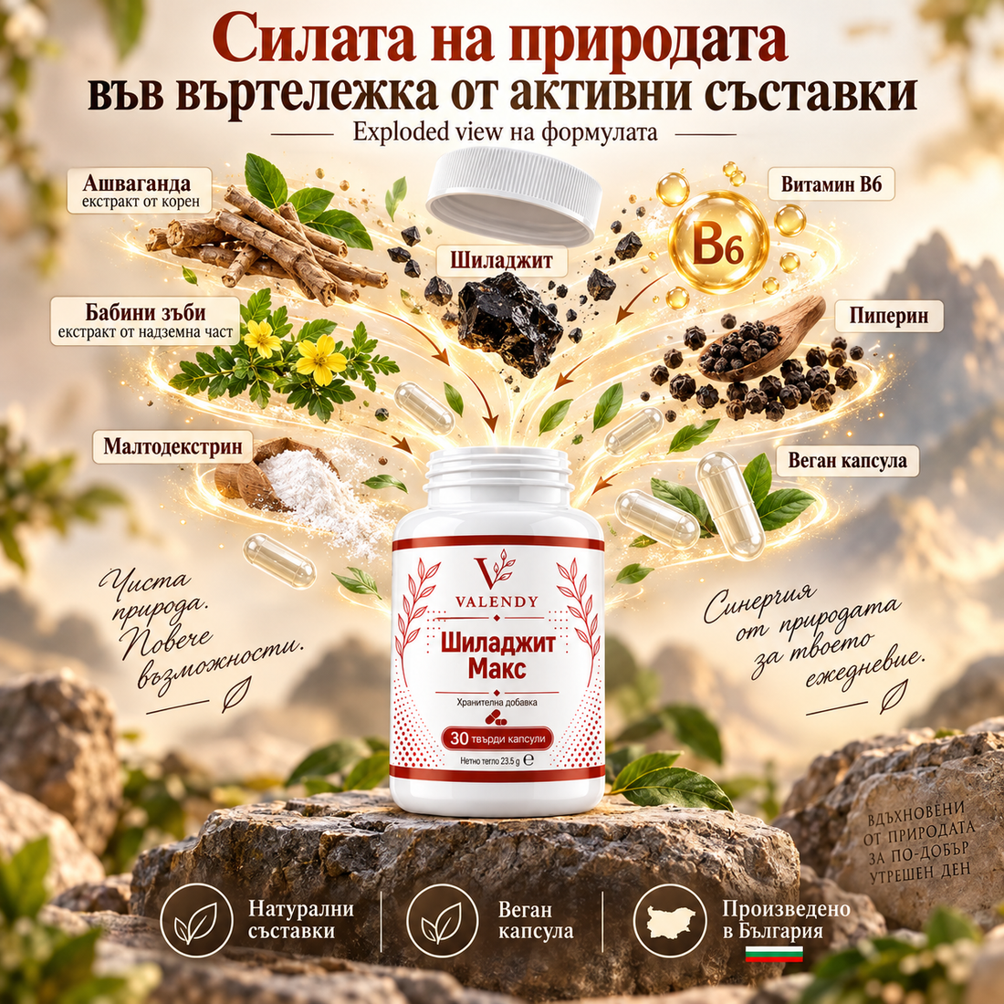 Шиладжит Макс — изображение 2