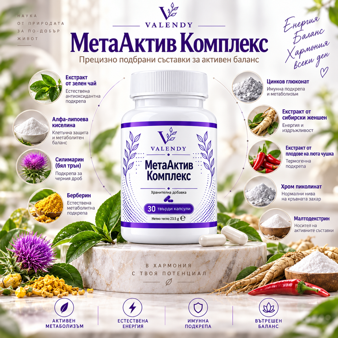 МетаАктив Комплекс — изображение 1