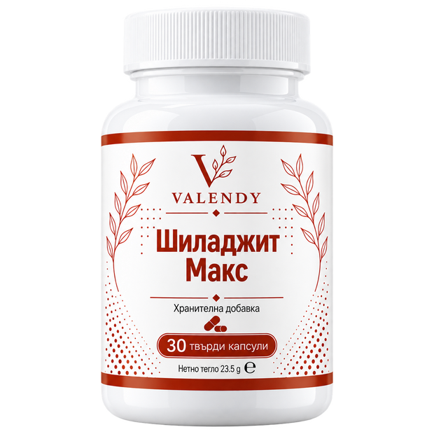 Шиладжит Макс